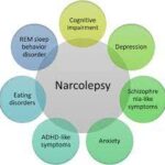 What Leads to A Major Narcolepsy Disorder?