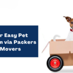 Tips for Easy Pet Relocation via Packers and Movers