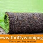 Kentucky Blue Peat Sod Winnipeg | Kentucky Bluegrass Landscaping | Kentucky Bluegrass Ontario | Thrifty Winnipeg