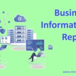 How to Interpret a Business Information Report: Key Metrics to Watch
