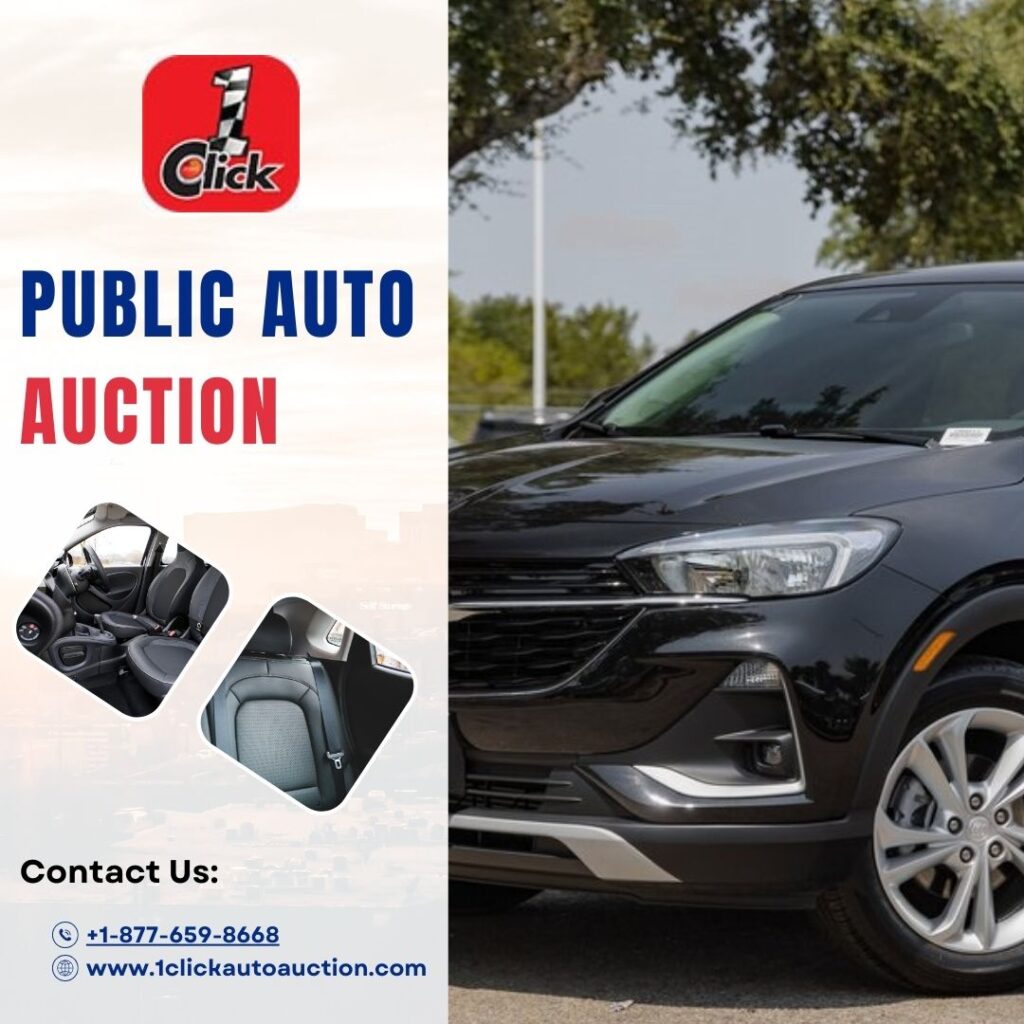 public auto auctions
