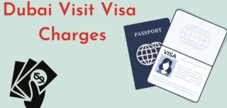 uae visit visa price